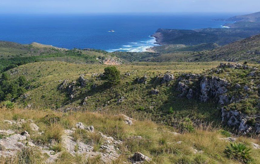 Sea view from a hilltop in the park