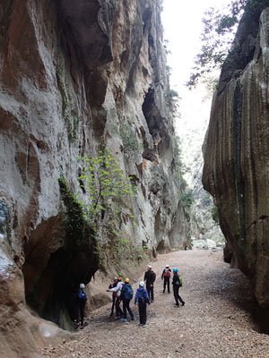 Un grupo de personas se encuentra de pie en un cañón.