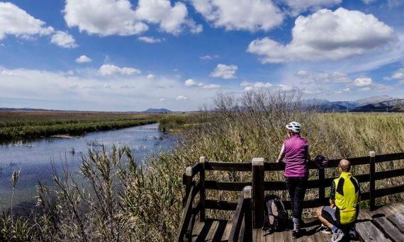 Wooden boardwalk over water in the wetland