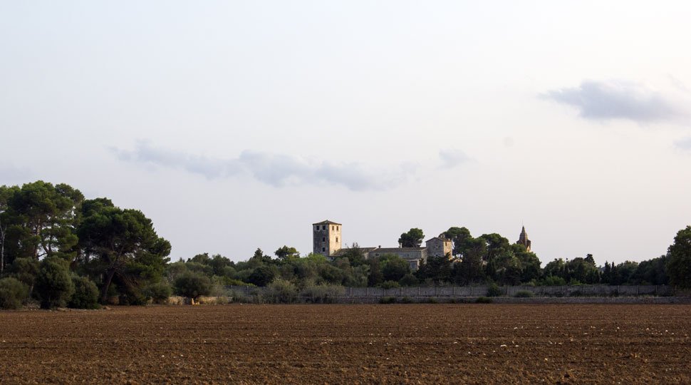 Un campo con un castillo al fondo y árboles en primer plano.